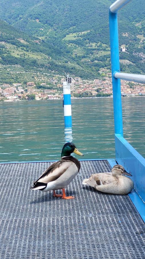 Light On Lake Iseo Clusane Luaran gambar